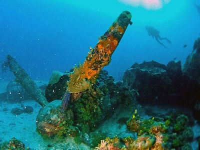 Баян про затонувшую технику. () Баян про затонувшую технику.