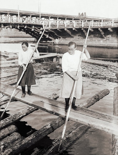 Дневник архангельского пенсионера Паршинского, 1941 год () Дневник архангельского пенсионера Паршинского, 1941 год