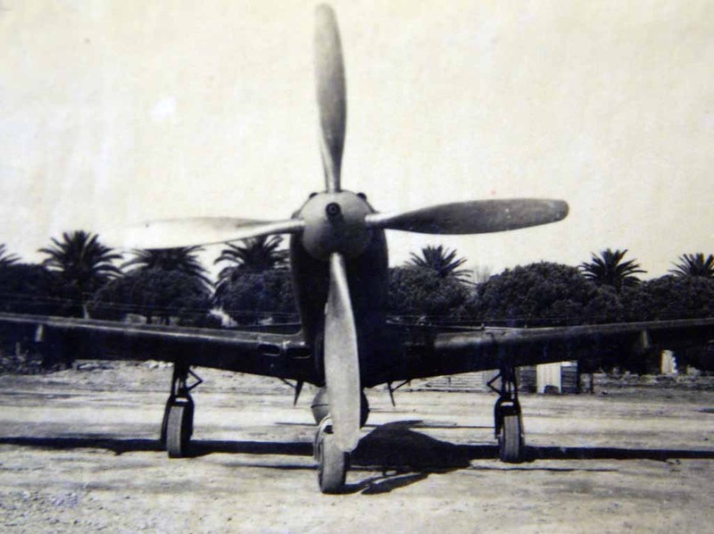 "Королевские кобры" на французской службе () "Королевские кобры" на французской службе