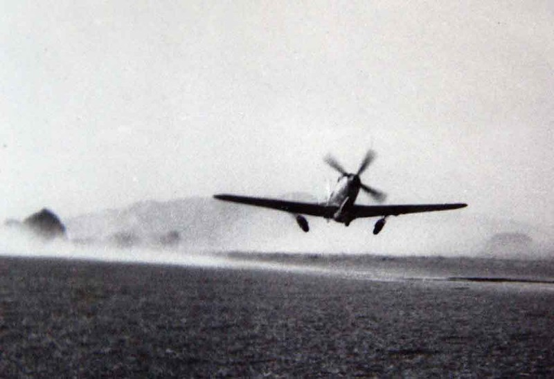 "Королевские кобры" на французской службе () "Королевские кобры" на французской службе