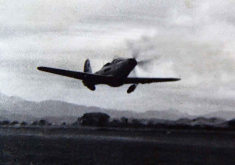 "Королевские кобры" на французской службе () "Королевские кобры" на французской службе