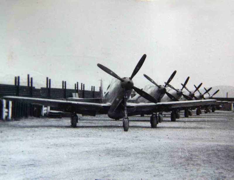 "Королевские кобры" на французской службе () "Королевские кобры" на французской службе