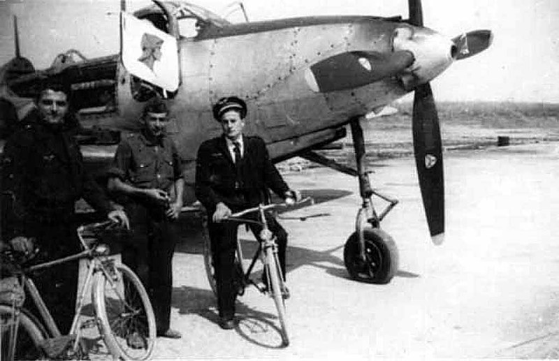 "Королевские кобры" на французской службе () "Королевские кобры" на французской службе