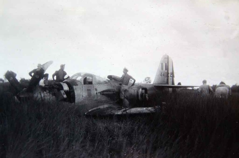 "Королевские кобры" на французской службе () "Королевские кобры" на французской службе