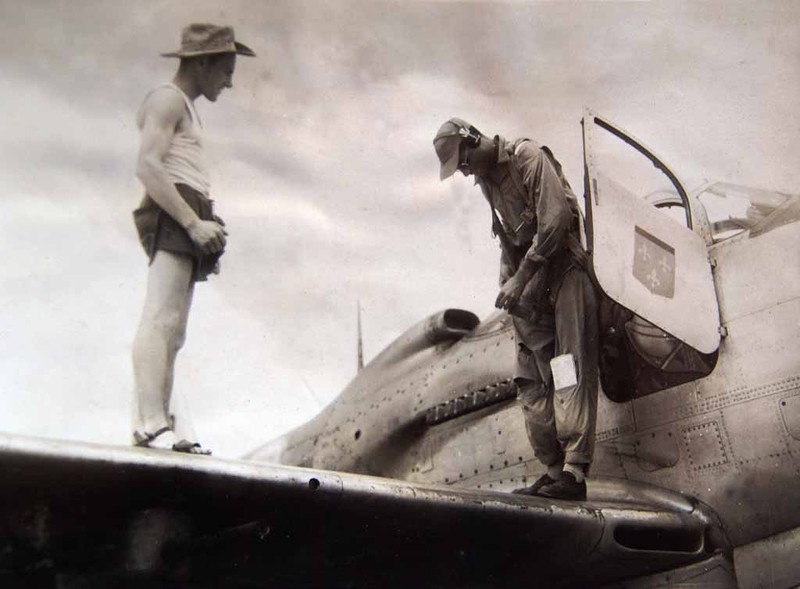 "Королевские кобры" на французской службе () "Королевские кобры" на французской службе