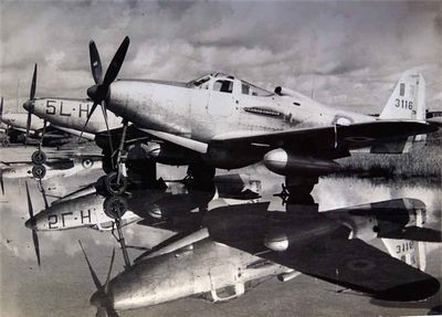 "Королевские кобры" на французской службе () "Королевские кобры" на французской службе