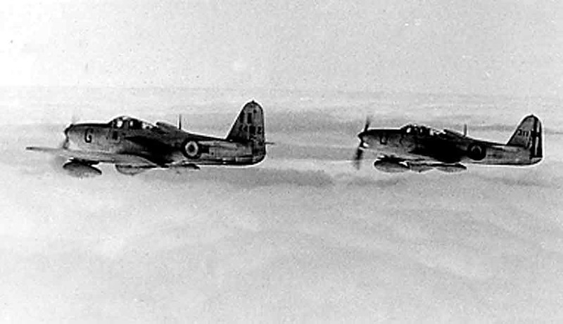 "Королевские кобры" на французской службе () "Королевские кобры" на французской службе