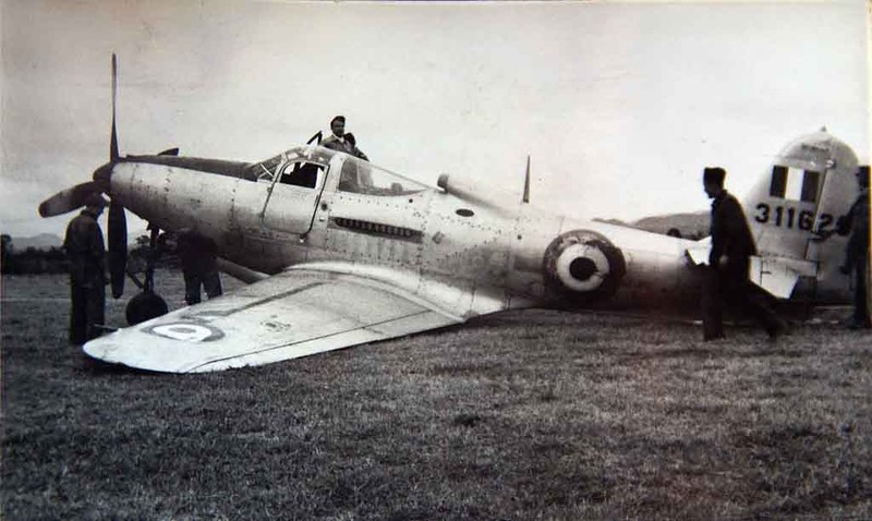 "Королевские кобры" на французской службе () "Королевские кобры" на французской службе