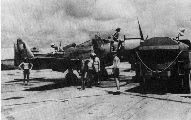 "Королевские кобры" на французской службе () "Королевские кобры" на французской службе