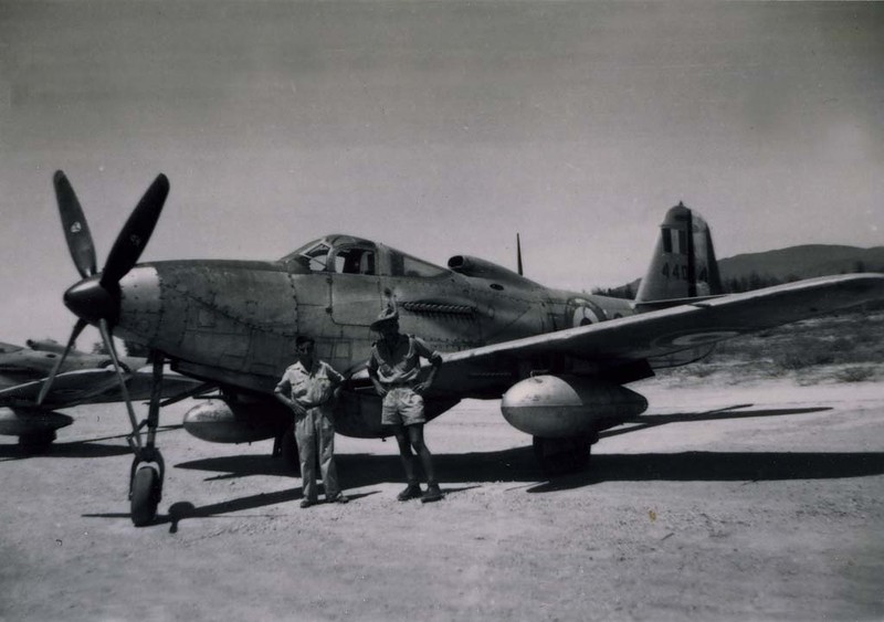 "Королевские кобры" на французской службе () "Королевские кобры" на французской службе