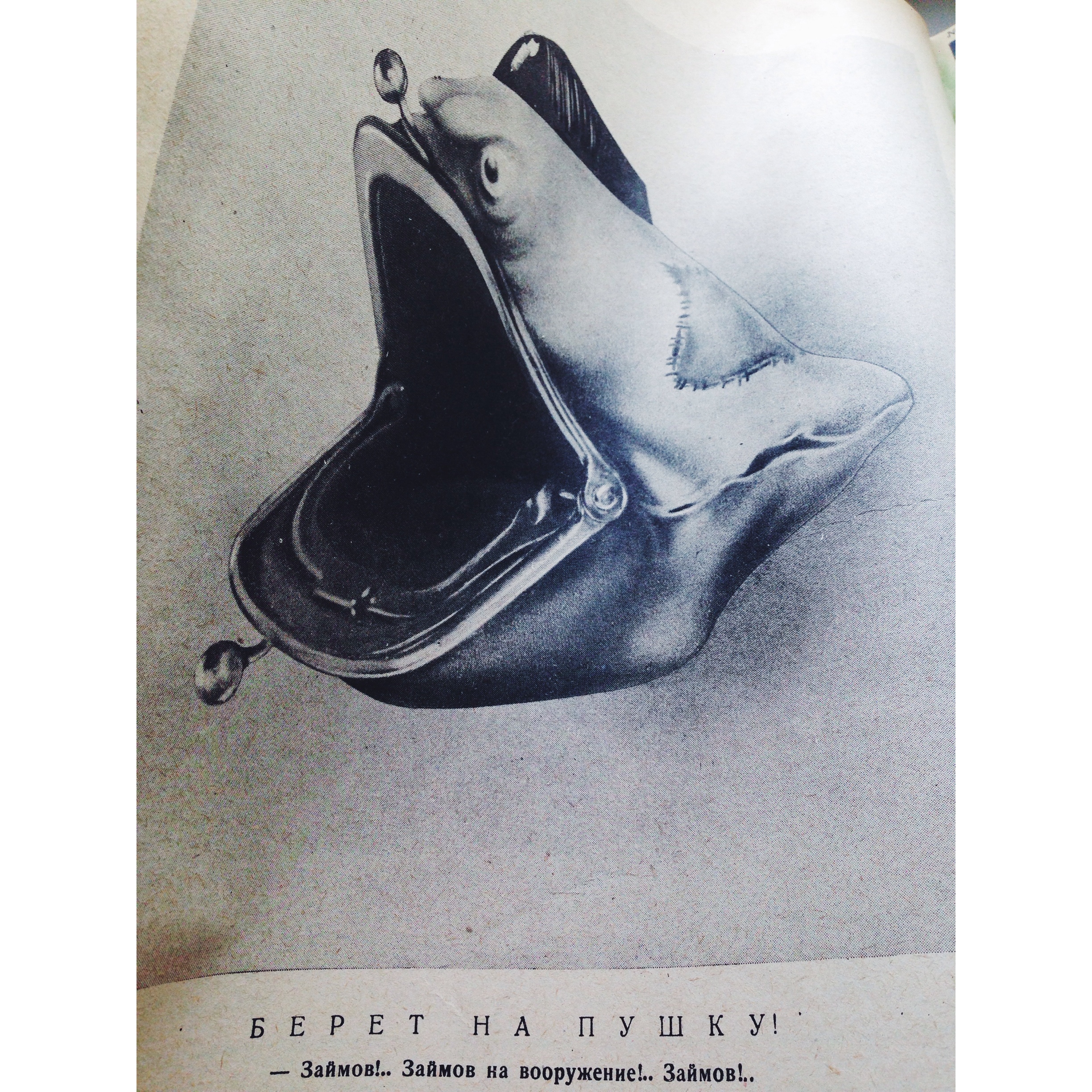 Крокодил: Судьи