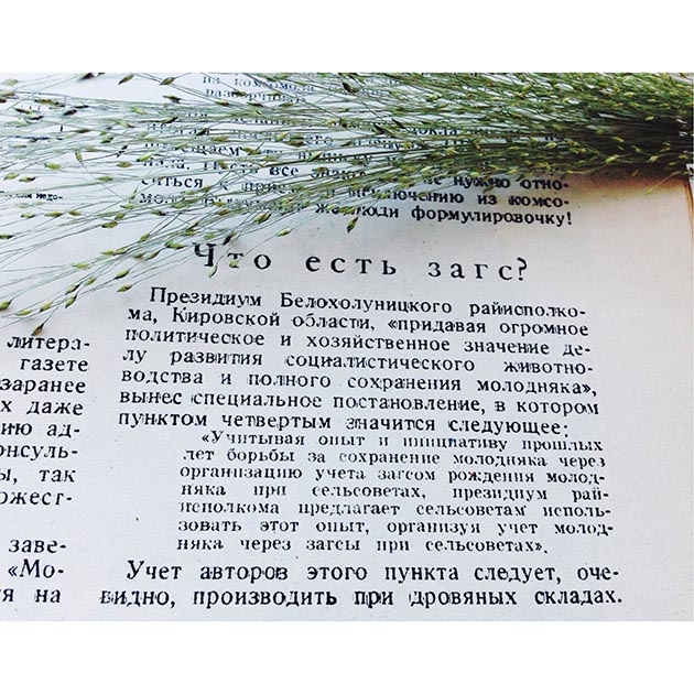 Крокодил: Весьма срочно! () Крокодил: Весьма срочно!