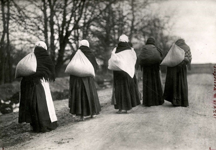 Первая мировая и «мальтузианская ловушка» для России () Первая мировая и «мальтузианская ловушка» для России