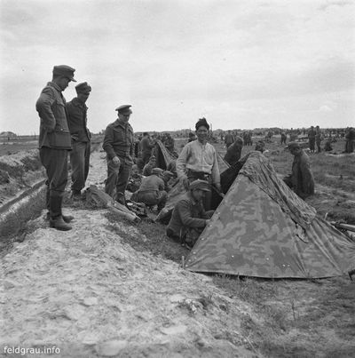 Подборка фото. () Подборка фото.