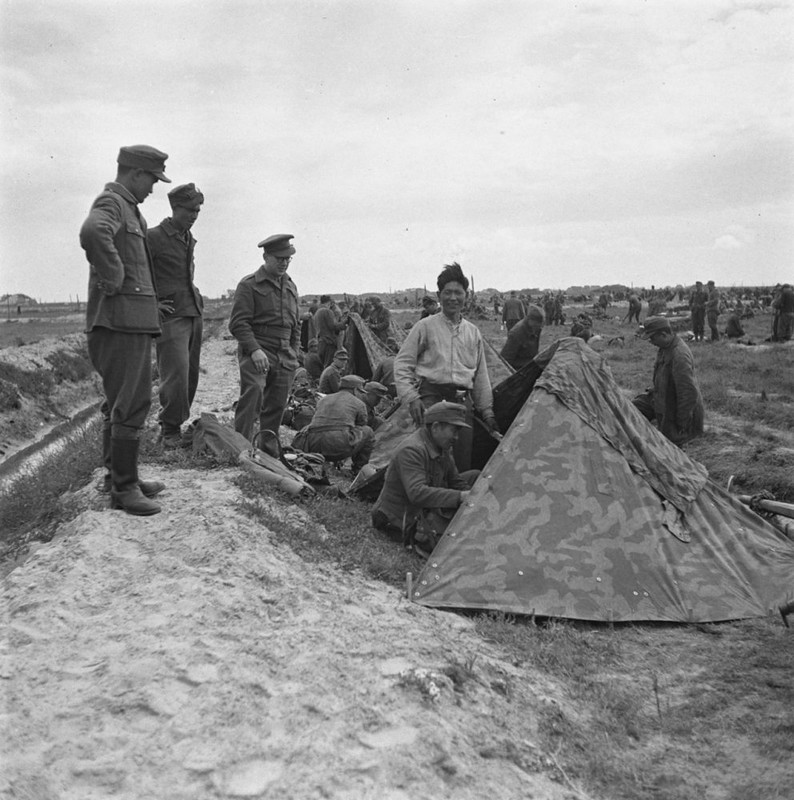 Подборка фото. () Подборка фото.