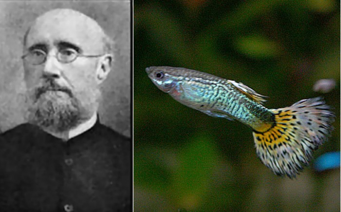 Подборка интереснойтей. "Каша." () Подборка интереснойтей. "Каша."