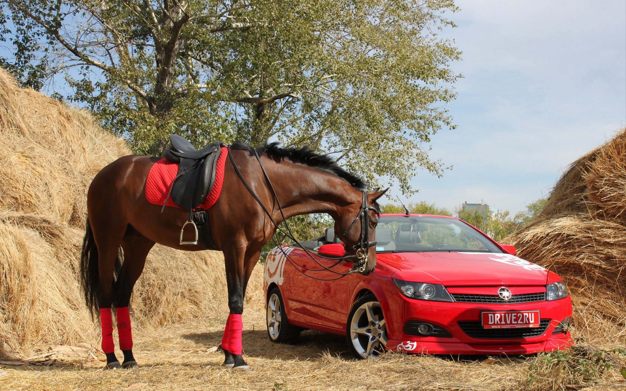 Самые абсурдные законы мира () Самые абсурдные законы мира