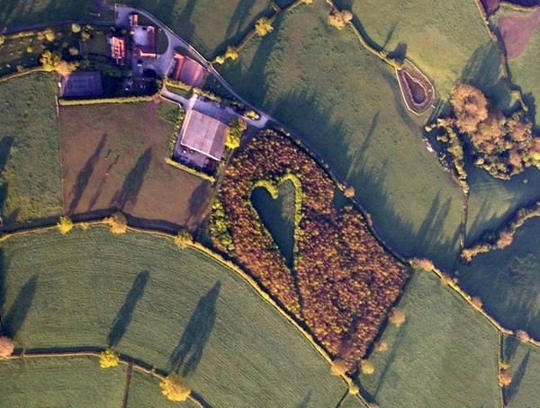 Самые необычные подарки мужчин женщинам () Самые необычные подарки мужчин женщинам