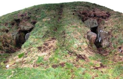 Традиции и жизнь викингов () Традиции и жизнь викингов