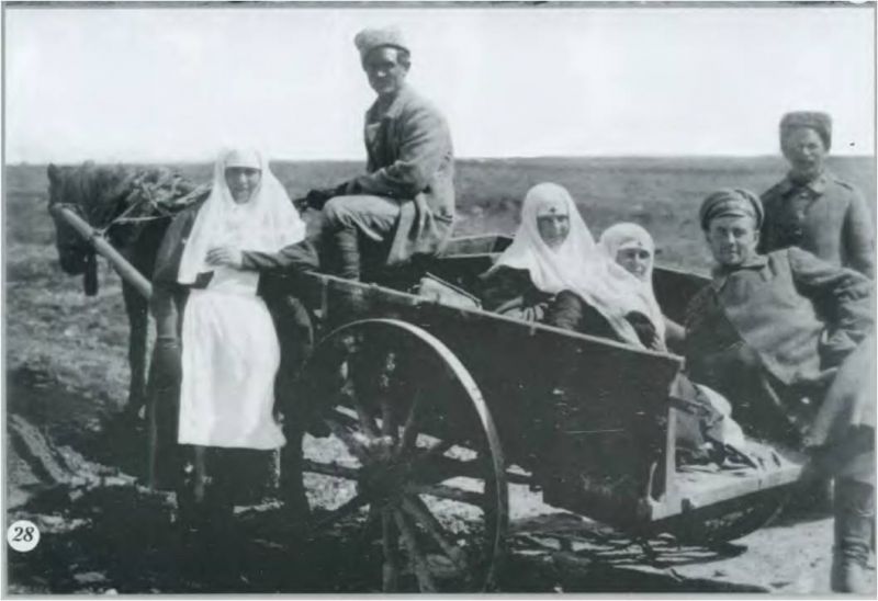 У войны не женское лицо? () У войны не женское лицо?