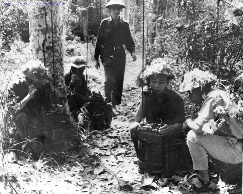 Вьетконг () Вьетконг