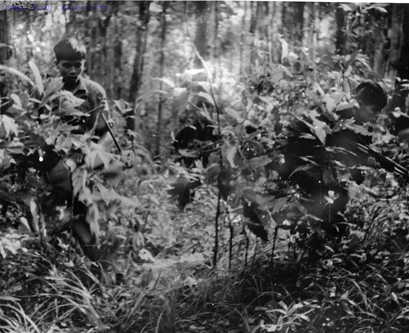 Вьетконг () Вьетконг