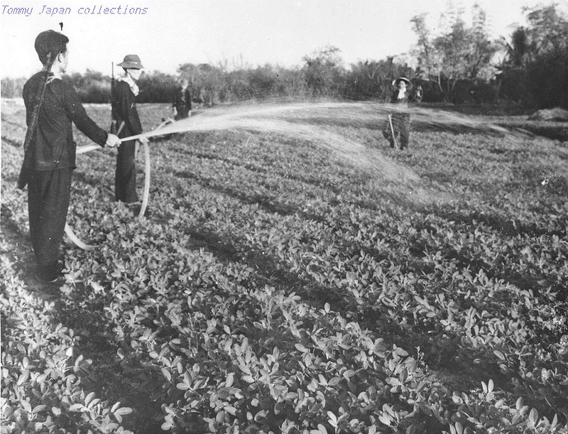 Вьетконг () Вьетконг