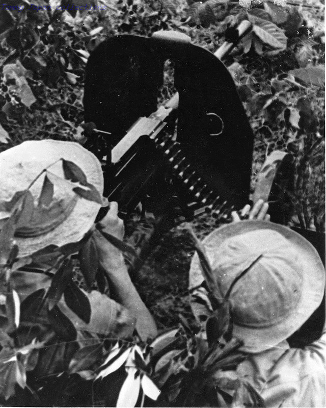 Вьетконг () Вьетконг