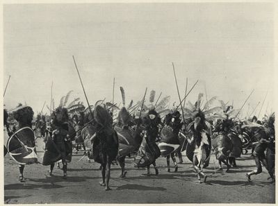 Воины Африки () Воины Африки