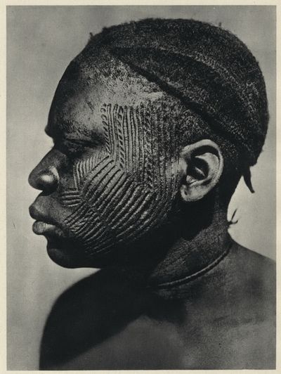 Воины Африки () Воины Африки