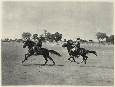 Воины Африки () Воины Африки