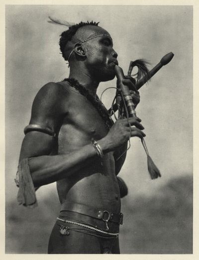 Воины Африки () Воины Африки