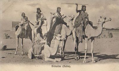 Воины Африки () Воины Африки