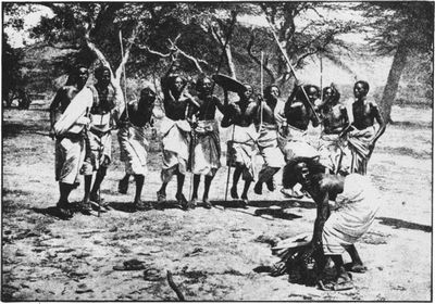 Воины Африки () Воины Африки