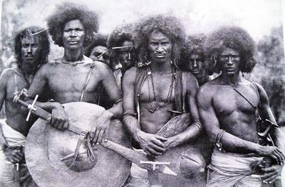 Воины Африки () Воины Африки