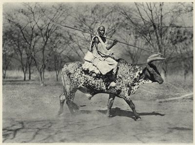 Воины Африки () Воины Африки