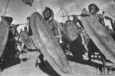 Воины Африки () Воины Африки