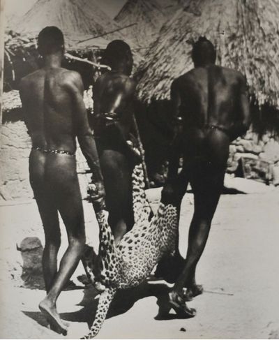 Воины Африки () Воины Африки