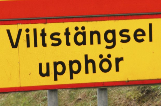 10 попыток вещественно доказать реинкарнацию () 10 попыток вещественно доказать реинкарнацию