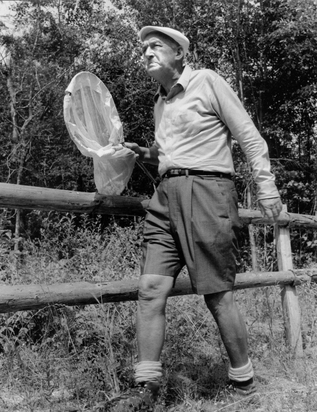 20 отчаянно-романтичных цитат Владимира Набокова