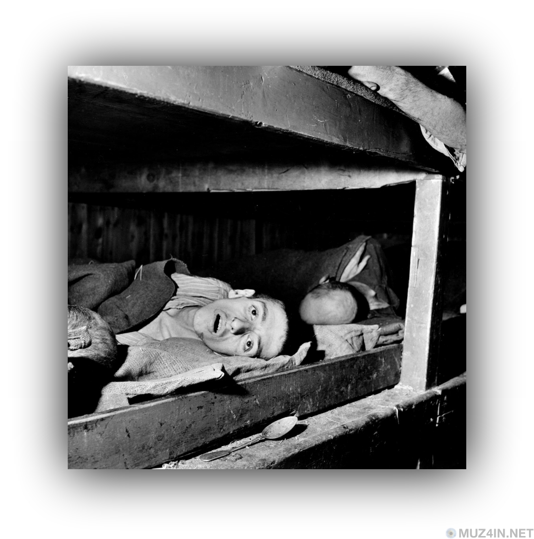 Бухенвальд () Бухенвальд