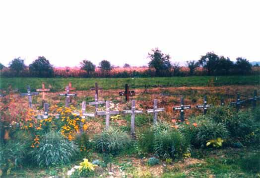 Что ждёт Донбасс, если Украина повторит «хорватский сценарий»? () Что ждёт Донбасс, если Украина повторит «хорватский сценарий»?