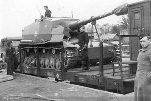 Dicker Max. () Dicker Max.