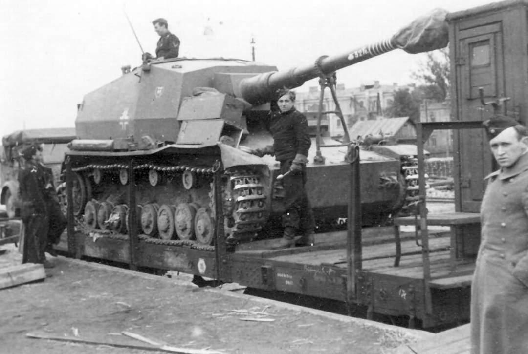 Dicker Max. () Dicker Max.