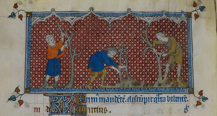 Европейские центры протокапитализма и отсталая периферия () Европейские центры протокапитализма и отсталая периферия