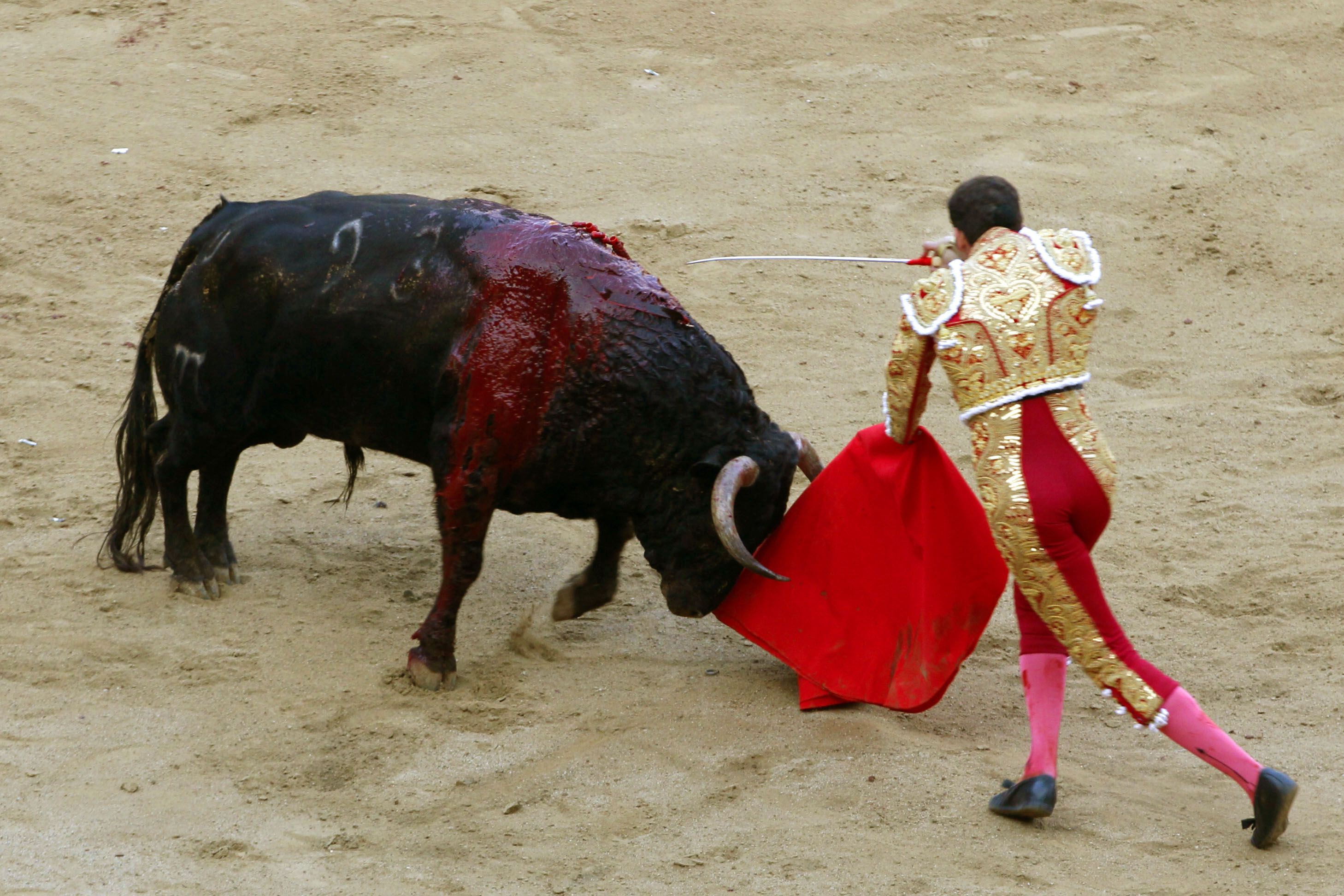 История корриды () История корриды