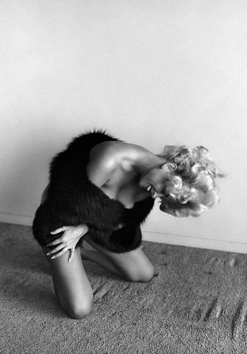 Ив Мейер. () Ив Мейер.