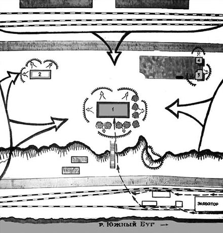 Как 55 морпехов освободили Николаев от 700 фашистов