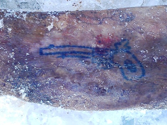 Находки с Эльбруса. () Находки с Эльбруса.