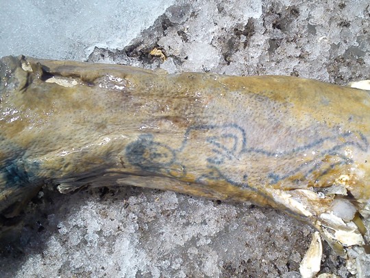 Находки с Эльбруса. () Находки с Эльбруса.